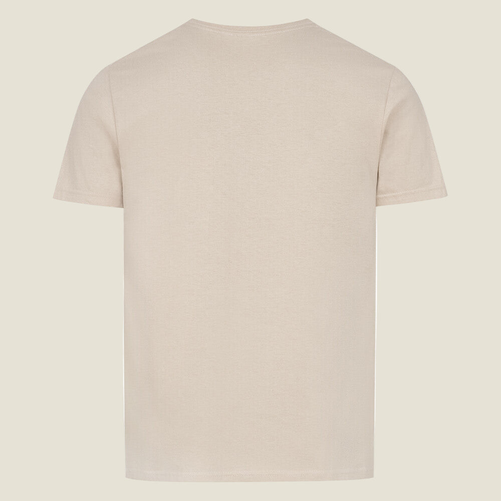 Image for color: sand