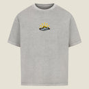 Image for color: washed grey